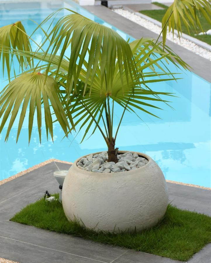 Balai Cinta Villa Panglao Dış mekan fotoğraf