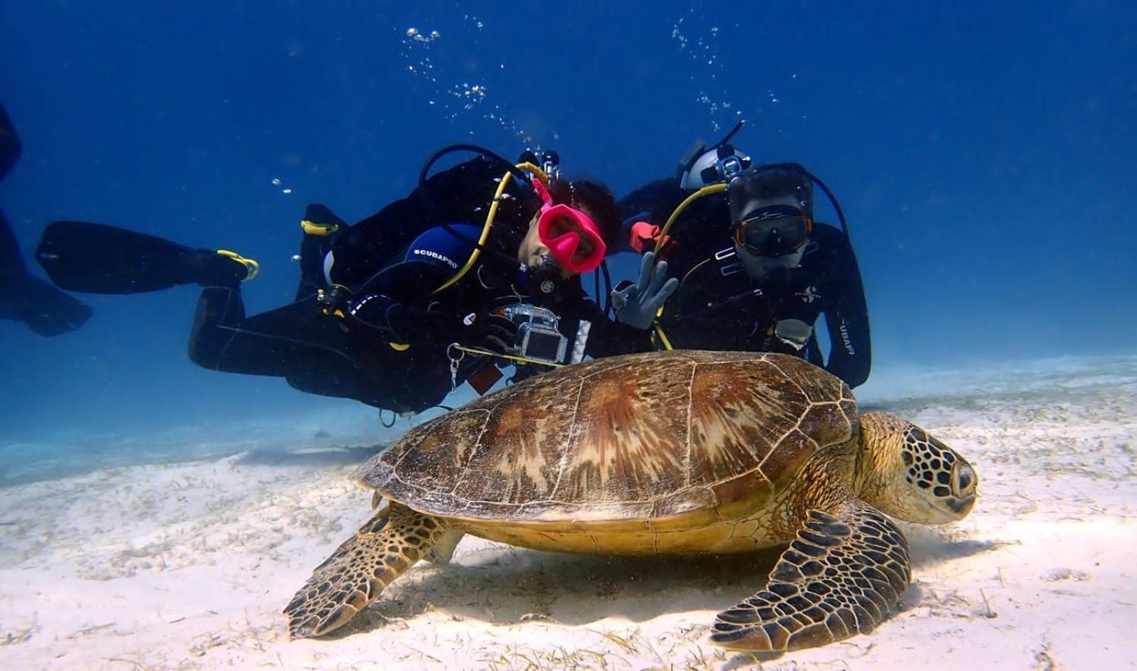 Balai Cinta Villa Panglao Dış mekan fotoğraf